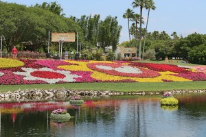 Beautiful flower display.