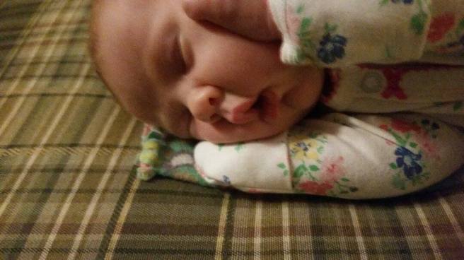 18120168_10210849459330089_696440752_o